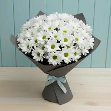 Букет цветов из:  Хризантемы #REPLACE_PRED# Родионово-Несветайской