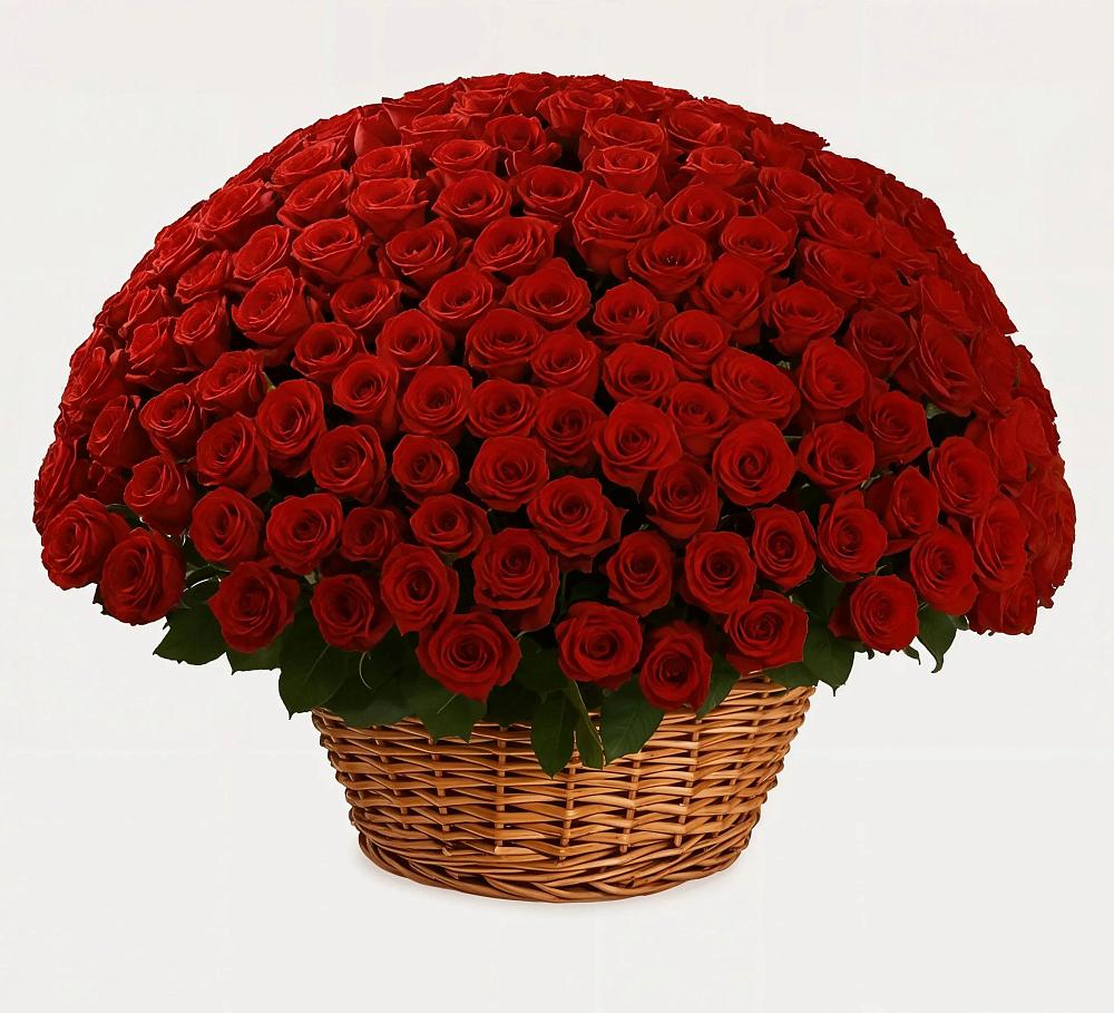 Премиум букет из: Розы в Родионово-Несветайской