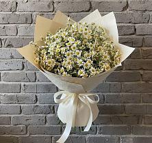 Букет цветов из:  Ромашки #REPLACE_PRED# Родионово-Несветайской