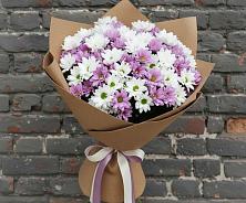 Букет цветов из:  Хризантемы #REPLACE_PRED# Родионово-Несветайской